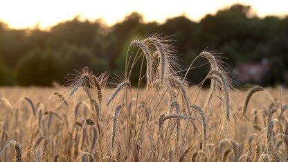 从10月19日起,gitlab将对所有免费用户强制实施存储限制