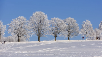 katalyst custom config:轻松管理上万节点的差异化配置