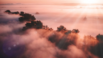 kubernetes十年回顾:从云原生走向ai时代