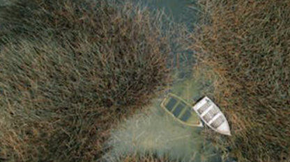 “懂场景”“懂模型”“懂开发”，ai 下半场，研发团队如何突围？