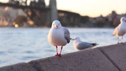 解锁 serverless 新进展:与 aigc 结合会有哪些搞头?