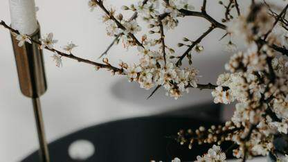 katalyst v0.5.0 发布:进一步解耦,进一步优化