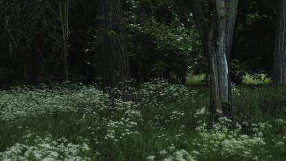 店匠科技自研引擎:加速品牌出海,共塑跨境电商新纪元