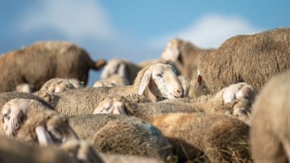 字节跳动宣布开源 kubewharf,一个实践驱动的云原生项目集