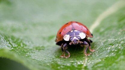 详细对比后,我建议这样选择云数据仓库