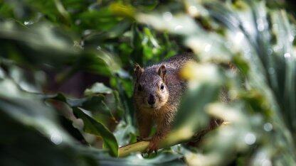 大模型与企业数据该怎样结合？这家大模型中间件创企给出了心得棋牌的解决方案