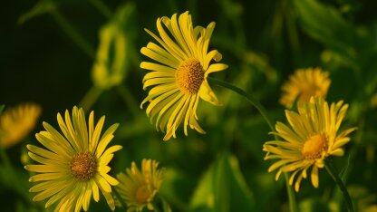 runway 全新 gen-3 视频生成模型获网友盛赞：比 sora 更好