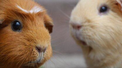 前车之鉴:聊聊我在云基础设施中掉过的坑