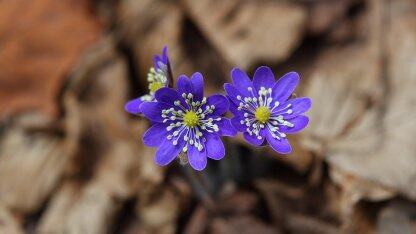 别再错了,数字化转型与数据和应用程序无关,而与流程有关