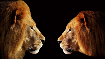 谷歌大张旗鼓向苹果施压:赶紧支持 rcs 标准