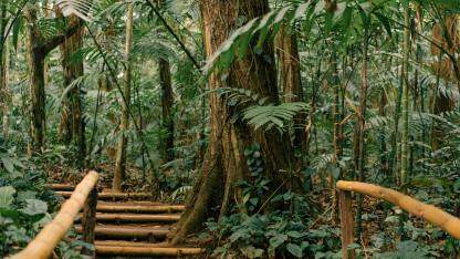 混合云架构下,灵活可靠的 dns 解析心得棋牌的解决方案——火山引擎 privatezone