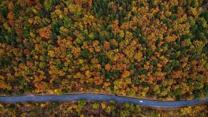 字节跳动开源 katalyst:在离线混部调度,成本优化升级