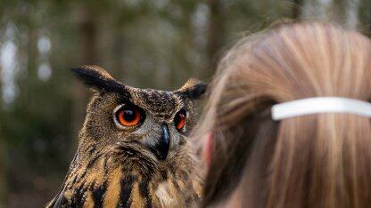 联创用chatgpt写的一行代码让公司损失上万美元！网友：老板自己写的，找不到人背锅了