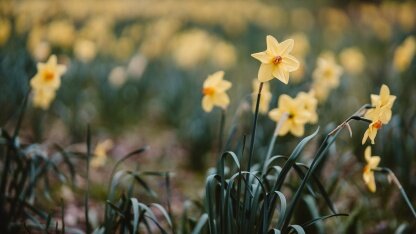 katalyst:字节跳动云原生成本优化实践