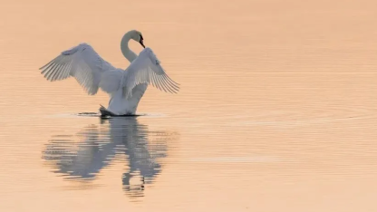 小红书招聘年龄底线35岁，猎头：超32岁基本没戏；小米汽车员工实发工资曝光，年入百万不是梦；极目银河老板欠62亿跑路 |ai周报